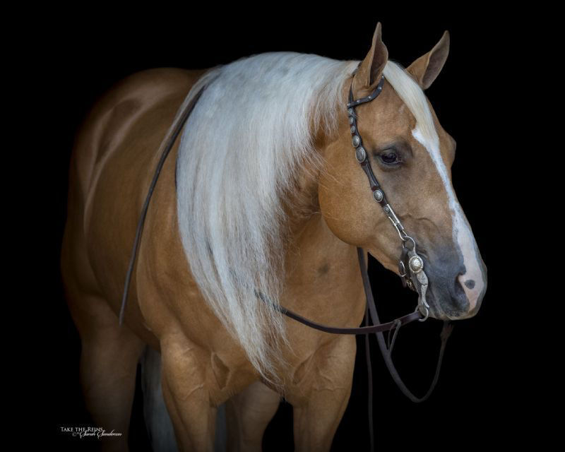 d832c2e6-28f1-4e4d-b70d-9d2a2868e65e-800x640