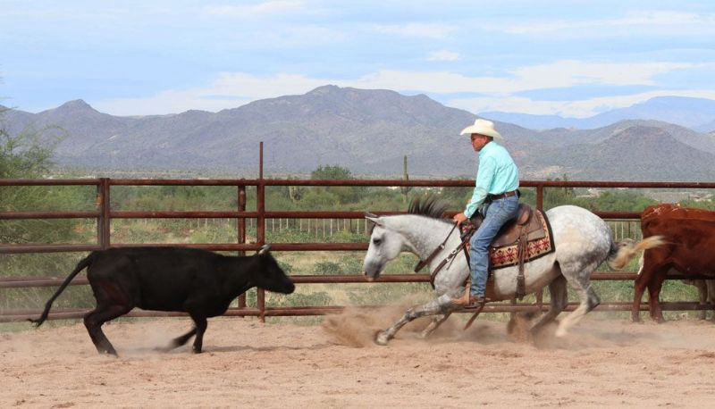 image-10-8-21-at-8.31-pm-800x458