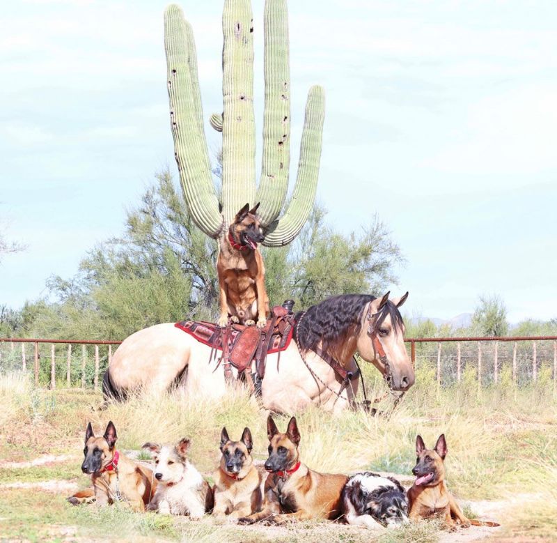 WhatsApp Image 2025-10-22 at 7.02.33 PM